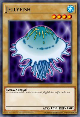 Jellyfish