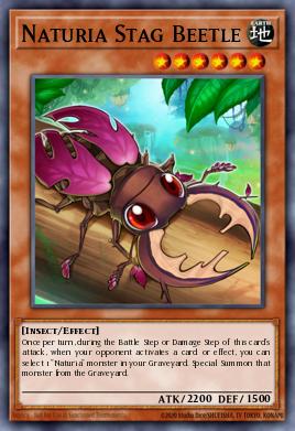Naturia Stag Beetle