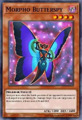 Morpho Butterspy