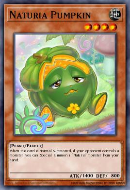 Naturia Pumpkin